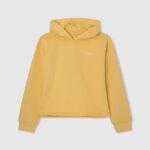 chica sudadera con capucha de algodón Pepe Jeans 44JTZ1414 brillar